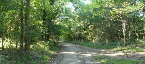Au Bois de Vincennes avec Reglisse pour ce vendredi 8 octobre ! 