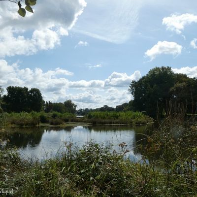 Une balade autour du Lac de Christus à ST PAUL LES DAX (40), le 23 septembre...