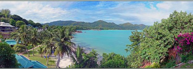 10/12/2021 : panorama sur Anse Gouvernement vu de notre terrasse à l'hôtel L'Archipel et oiseaux devant notre porte - Praslin - Seychelles