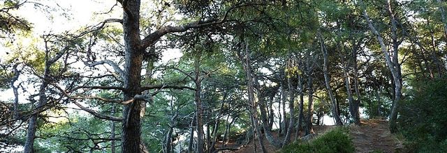PROMENADE
