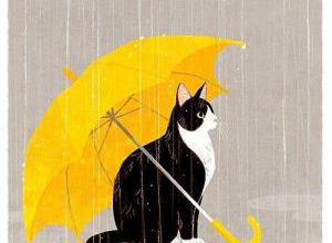 Douce pluie 