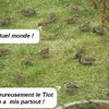 On a trouvé le paradis des moineaux!