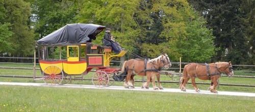 ... transport en commun pas commun...