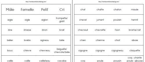 Mâle/Femelle/Petit/Cri