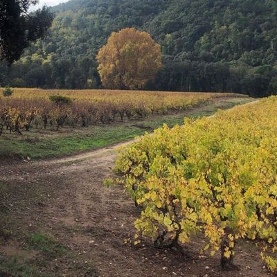 Le vrac'infos de la semaine ! 