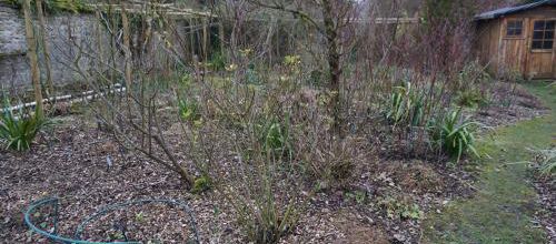 Mise en beauté du jardin d'André Eve