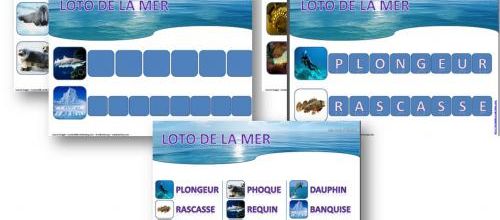 Loto de la mer