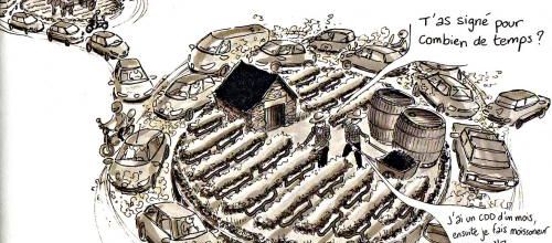 Vito : de l'archi (pauvre) au dessin (riche... ou presque)