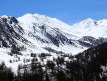 Le Printemps en Haute Montagne