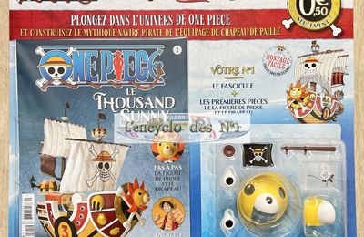 N° 1 Construisez le Thousand Sunny One Piece - Lancement 