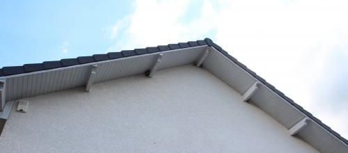 Nouveaux colocataires au jardin