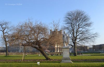 Jardin des Tuileries : un printemps bien timide ...