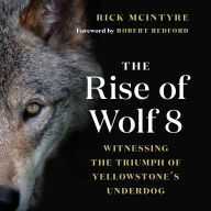 Download books to ipod nano The Rise of Wolf 8: Witnessing the Triumph of Yellowstone's Underdog by Rick McIntyre, Robert Redford English version