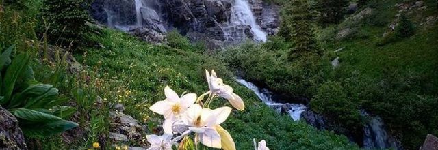 Sons relaxants de la nature