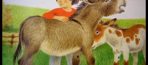 Gerda Muller : sélection d'illustrations (DoubleR) 