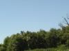 pays rochefortais