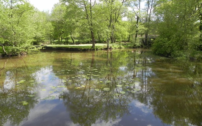 Reflet aux moulin de Charlot