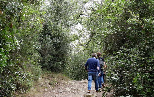 Le 4 octobre 2020: la forêt de Janas