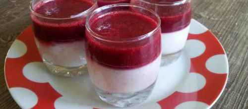 Panacotta Paléo