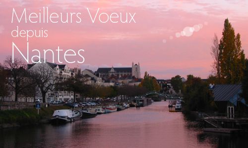 Meilleurs voeux pour 2019 !