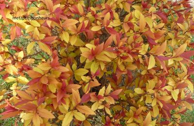 Bon dimanche ensoleillé!