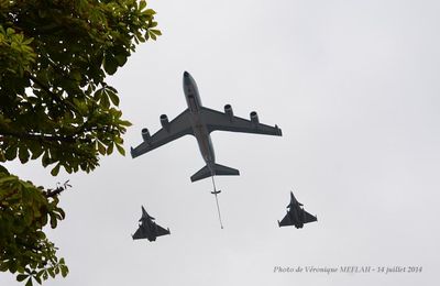 Défilé aérien du 14 juillet 2014 : dans le ciel de Paris
