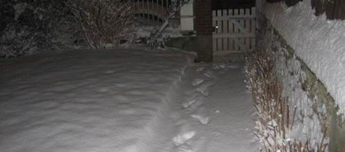 neige