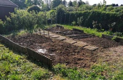 6 bonnes raisons de faire son potager