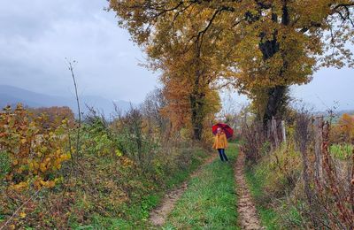 Le 1er novembre 2025 : Un temps de Toussaint