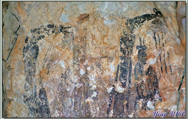 Autre site de peintures rupestres filiformes de Gwion Gwion et le lézard-guide - Jar Island - Vansittart bay - Wunambal Gaambera - Kimberley - Australie