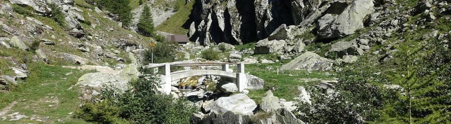 Le bisse de l'Oberschta