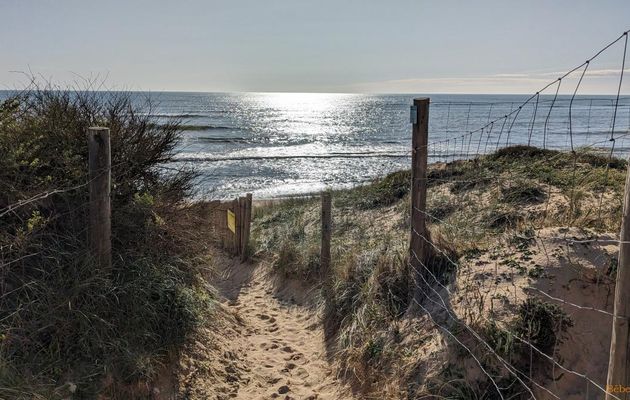l'ile d'Oléron  la suite ...