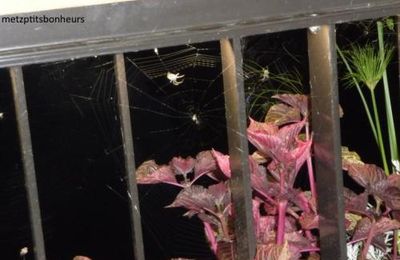 ... boulot, repos....