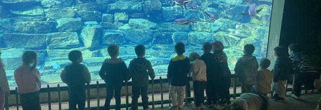 Sortie pédagogique à Branféré (1er article)