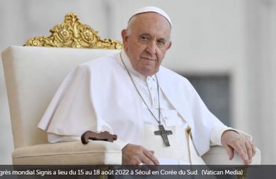Le Pape considère les médias numériques comme un moyen de promouvoir la paix - VA