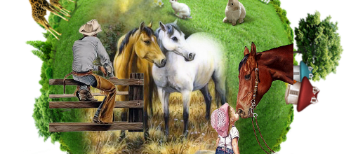 Amour de chevaux .