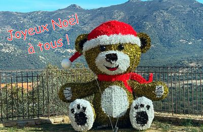 Joyeux Noël à tous !!!!