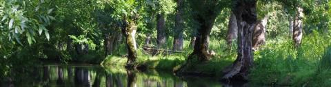WE D'AUGUSTE 3 : Le Marais Poitevin 