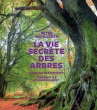 Livres en ligne gratuits à lire télécharger La vie secrète des arbres par Peter Wohlleben, Corinne Tresca