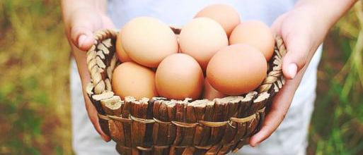 Pourquoi manger des oeufs bio?