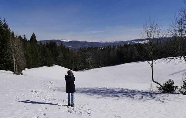 Soleil et douceur sur neige