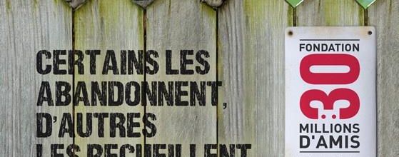 Contre la suppression de l'émission 30 Millions d'Amis