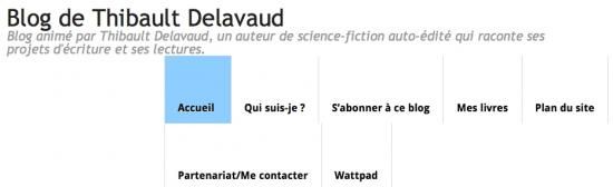 Thibault Delavaud, blogueur des autoédités