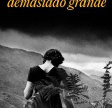 Descarga de libros electrónicos y audiolibros UN CORAZON DEMASIADO GRANDE de EIDER RODRIGUEZ iBook DJVU RTF