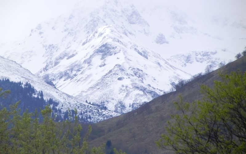 La neige dans les pyrénnées