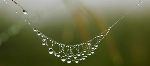 Sons et pluie d'orage