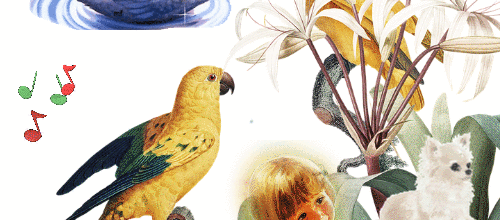 CREA ANIMAUX MUSIQUE