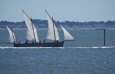 EB - Le Canot 13 aux Voiles en Liberté d'Andernos...