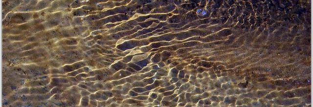 Histoire d'Eau (4)
