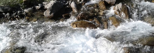 Vertu et Rosalinde, Anne Serre (Mercure de France)